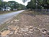 IMG_0102.jpg