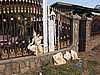 IMG_0105.jpg