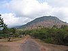 IMG_0115.jpg