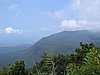 IMG_0116.jpg