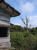 IMG_0120.jpg