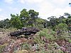 IMG_0121.jpg