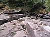 IMG_0124.jpg