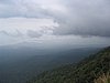 IMG_0130.jpg