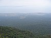 IMG_0131.jpg