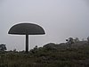 IMG_0143.jpg