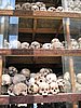 IMG_0147.jpg