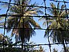 IMG_0159.jpg