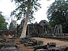 IMG_0181.jpg