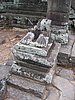 IMG_0182.jpg