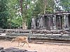 IMG_0185.jpg