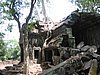 IMG_0187.jpg