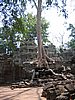 IMG_0191.jpg
