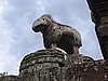 IMG_0203.jpg