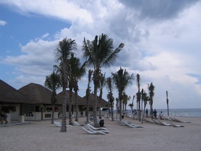 IMG_0876.jpg