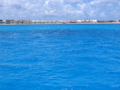 IMG_0884.jpg