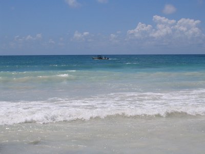 IMG_0897.jpg