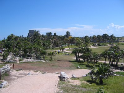 IMG_0906.jpg