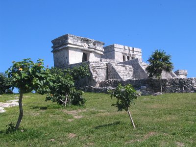IMG_0909.jpg