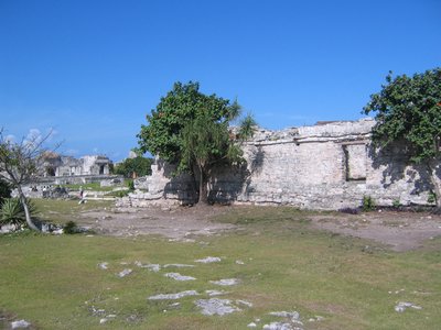 IMG_0915.jpg
