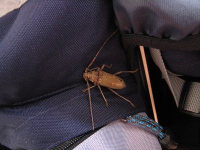IMG_0927.jpg