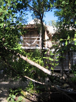 IMG_0930.jpg