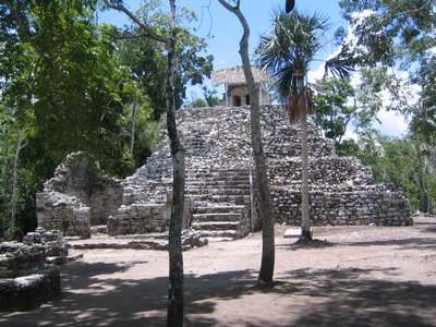 IMG_0934.jpg
