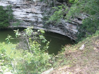 IMG_0961.jpg