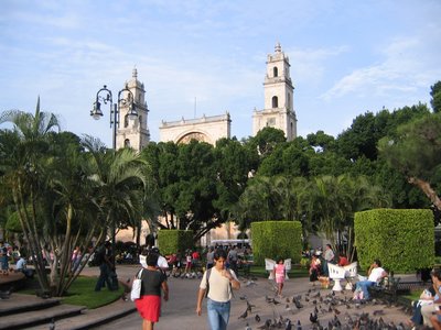 IMG_0978.jpg