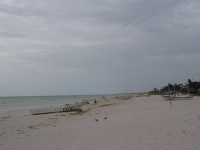 IMG_0985.jpg