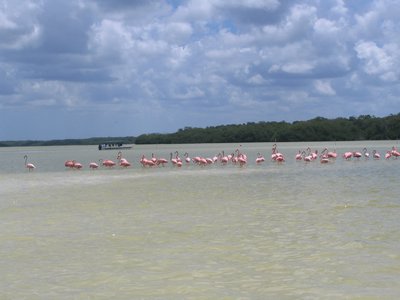 IMG_0993.jpg