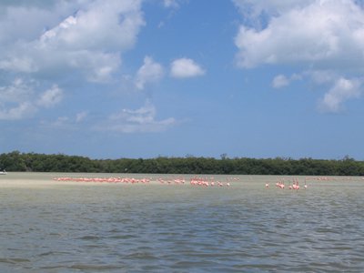 IMG_0996.jpg