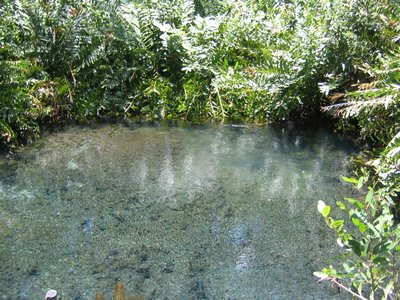 IMG_1004.jpg