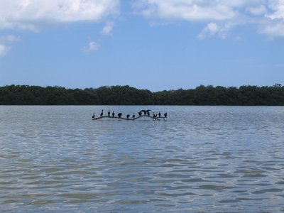 IMG_1006.jpg