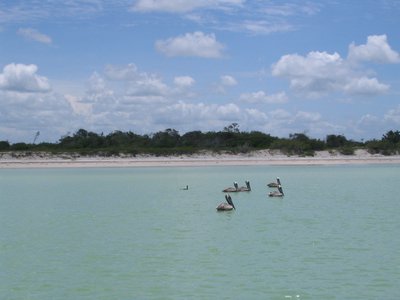 IMG_1007.jpg
