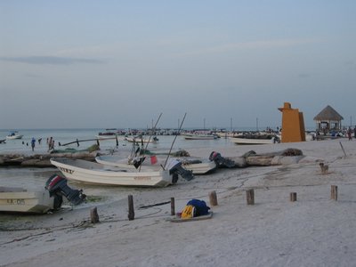 IMG_1011.jpg