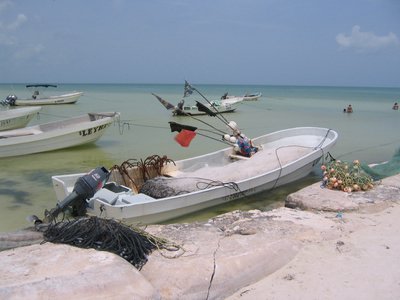 IMG_1017.jpg