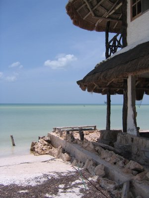 IMG_1020.jpg