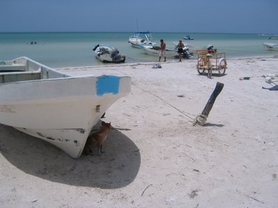 IMG_1025.jpg