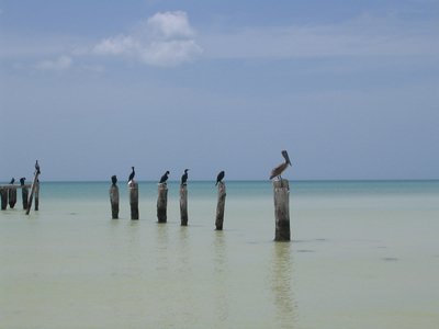 IMG_1027.jpg