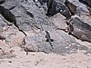 IMG_0895.jpg