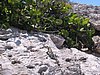 IMG_0896.jpg
