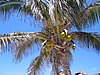 IMG_0900.jpg