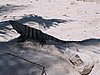 IMG_0905.jpg
