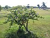IMG_0914.jpg