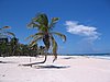 IMG_0916.jpg