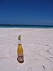 IMG_0919.jpg