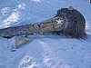 IMG_0921.jpg