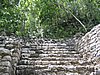 IMG_0932.jpg