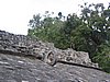 IMG_0944.jpg